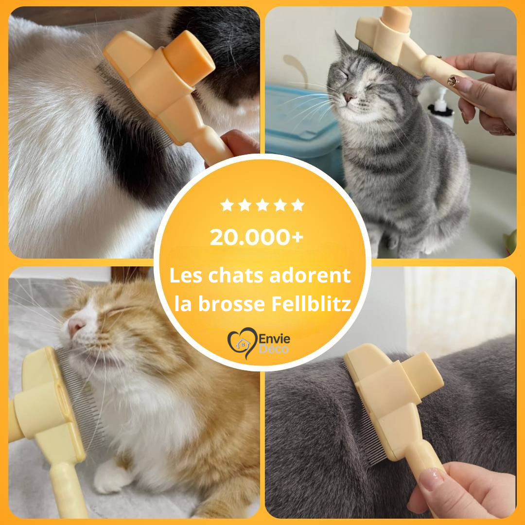 Fellblitz – Brosse Magique pour Chat