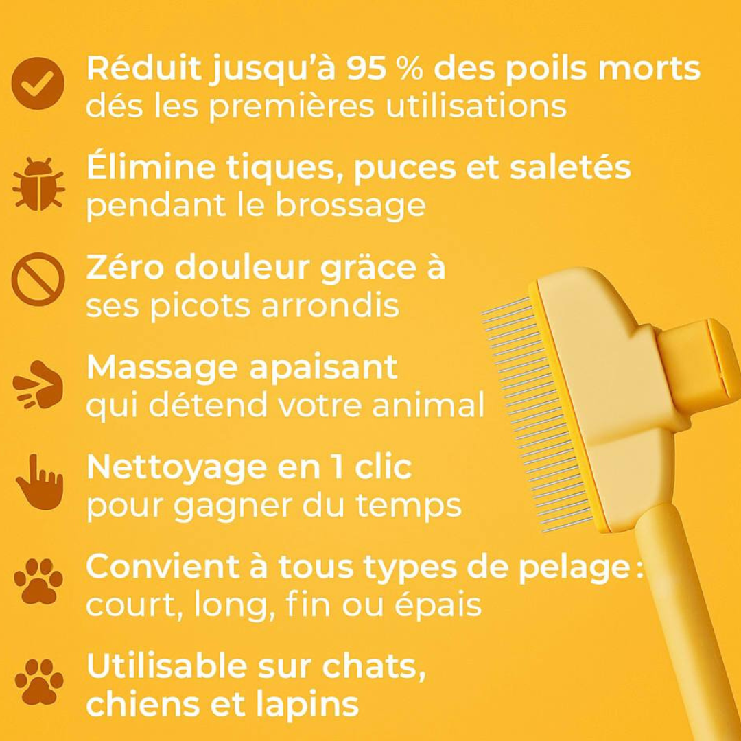 Fellblitz – Brosse Magique pour Chat