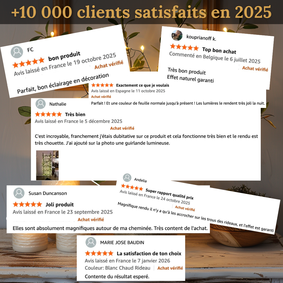 Lunio - Liane Lumineuse Décorative