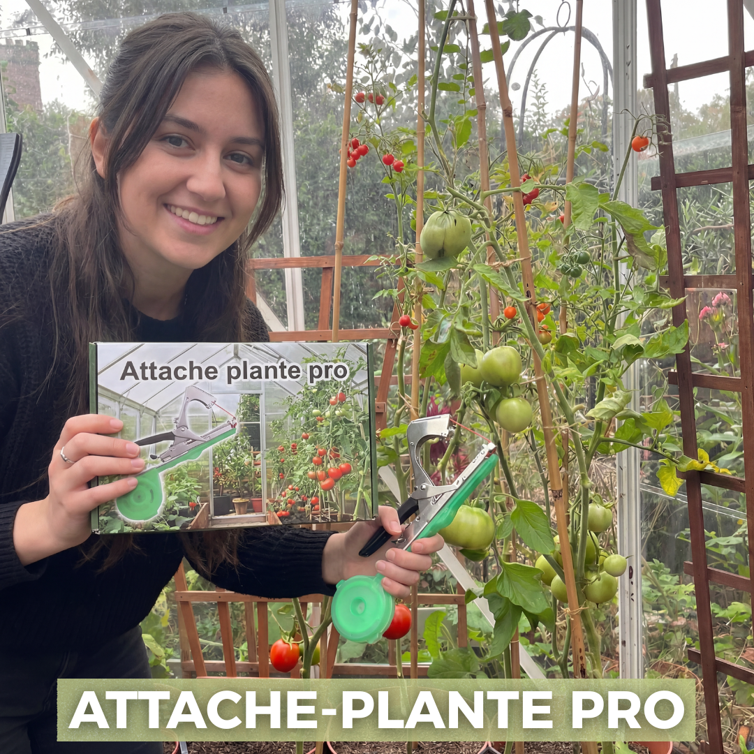 L'Attache-Plante Pro