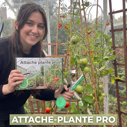 L'Attache-Plante Pro