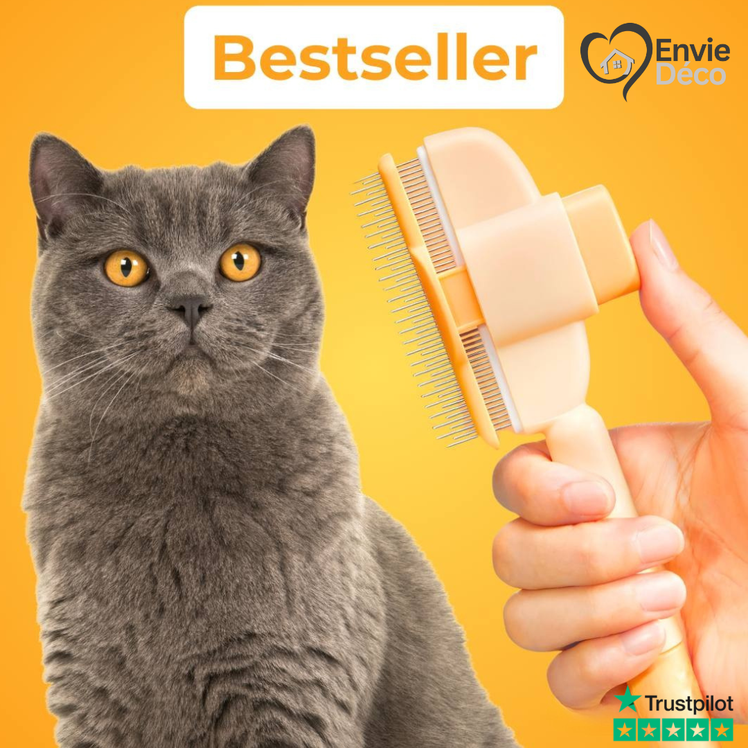 Fellblitz – Brosse Magique pour Chat