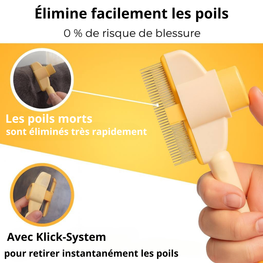 Fellblitz – Brosse Magique pour Chat