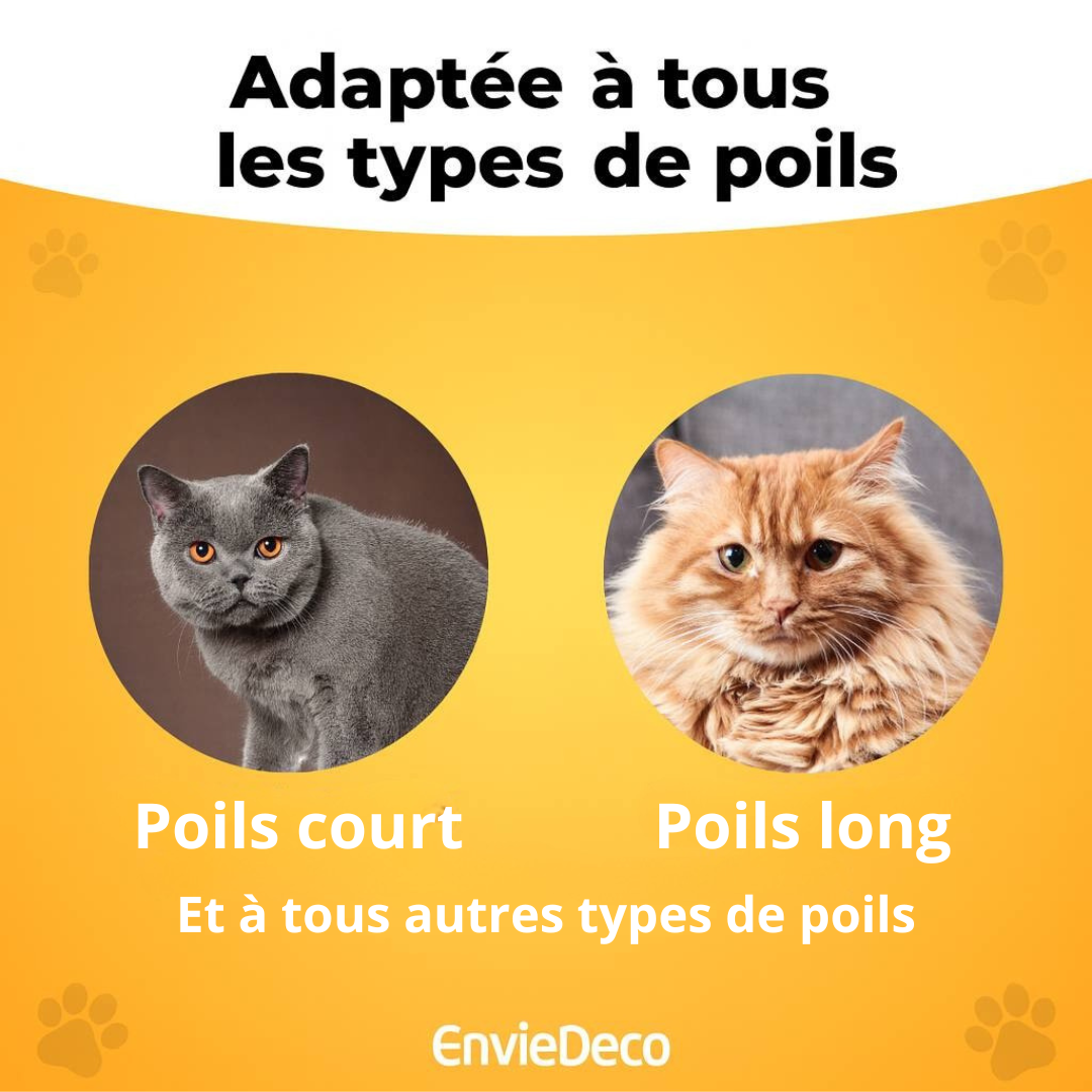 Fellblitz – Brosse Magique pour Chat