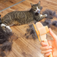 Fellblitz – Brosse Magique pour Chat