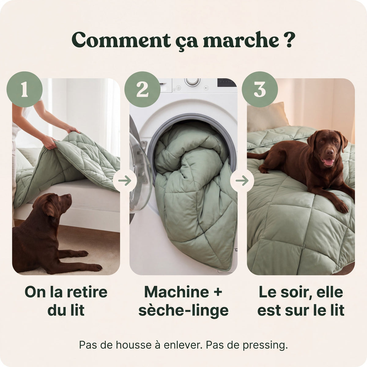 PetClean - Couette sans housse 2-en-1