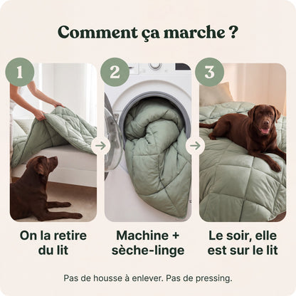 PetClean - Couette sans housse 2-en-1