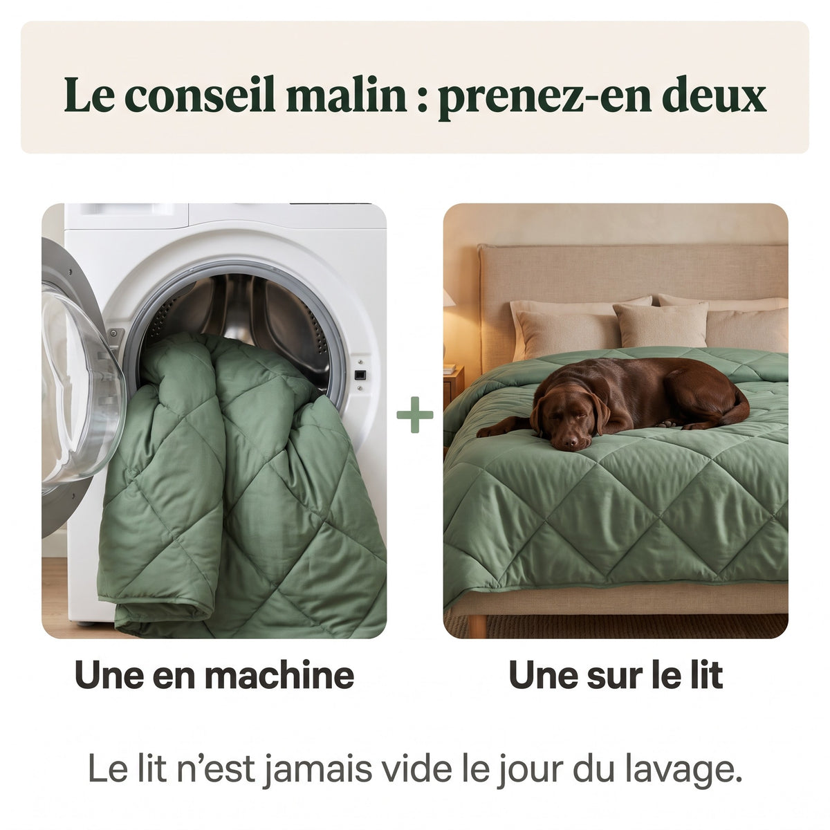 PetClean - Couette sans housse 2-en-1